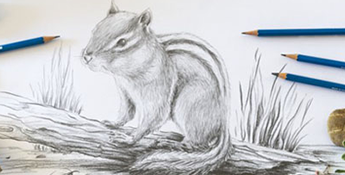 Sketch a lifelike chipmunk